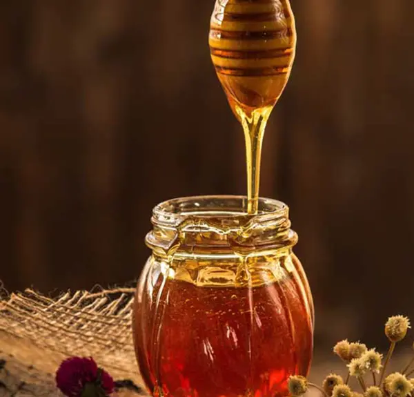 Food, Analytical Testing Labs